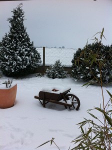 Neige dans le Perche le 5 Février 2011