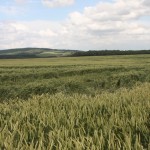 Dégâts dans le secteur de Sancerre - 21/06/2012