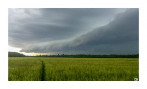 Arcus à Sandillon (45) par Christophe Plateau