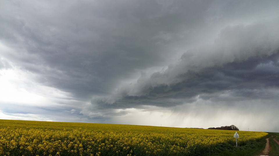 Arcus à Niherne par Lulu Moustache