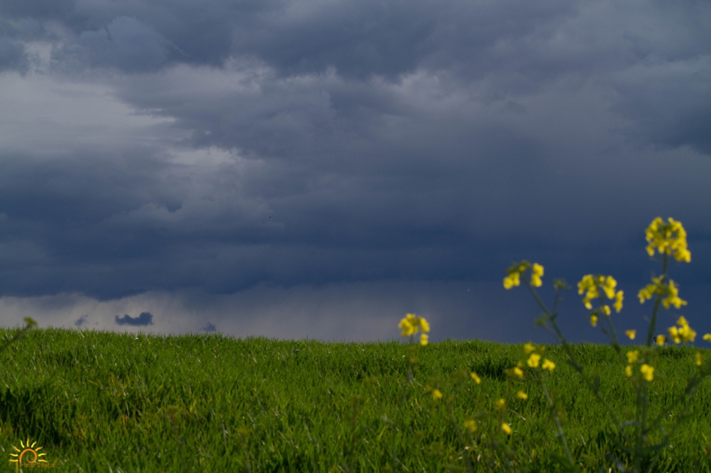 Condensation et précipitations sous l'orage