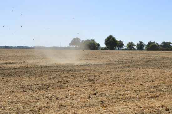 Dustdevil dans l'Indre (36)