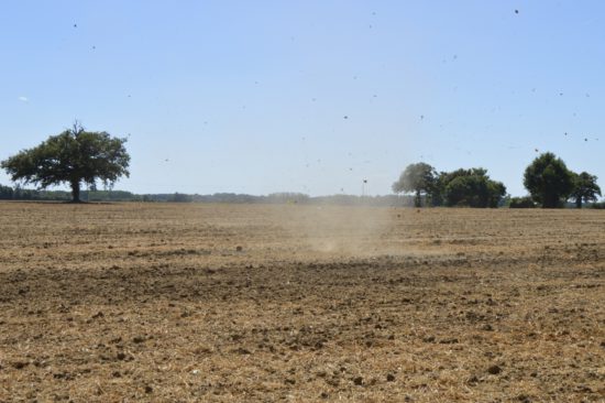 Dustdevil dans l'Indre (36)