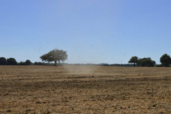 Dustdevil dans l'Indre (36)