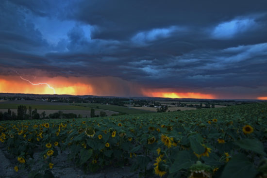 Orage et Tournesols