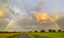 [ACTION] – Encadrement d’un stagiaire