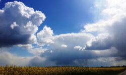 MÉTÉO CENTRE – VAL DE LOIRE DU 17 AU 23 MARS 2025