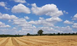MÉTÉO 3 AU 9 AOÛT 2026 : ENCORE CHAUD ?