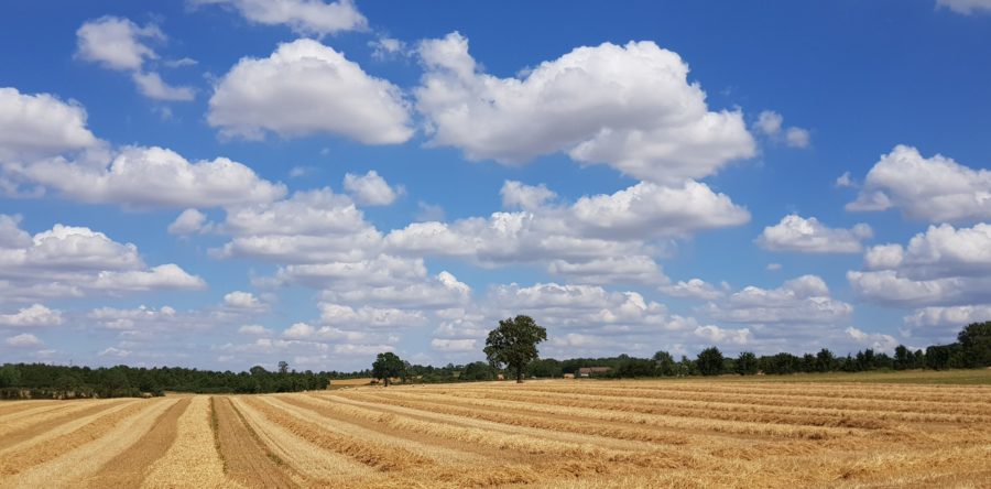 MÉTÉO CENTRE – VAL DE LOIRE DU WEEK-END DU 2 ET 3 SEPTEMBRE 2023