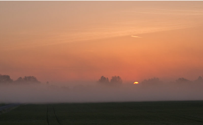 brouillard