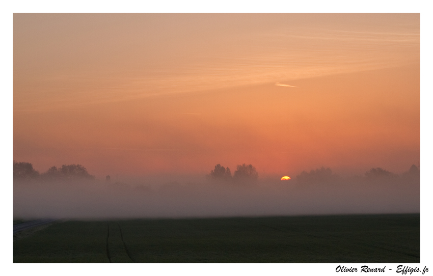 brouillard