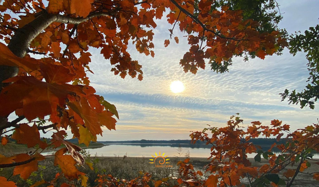 automne fraîcheur chaleur soleil