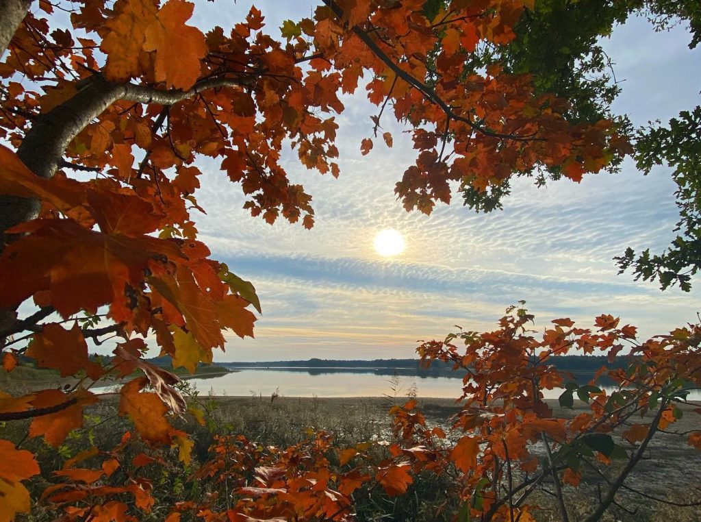 automne, soleil, chaleur, douceur