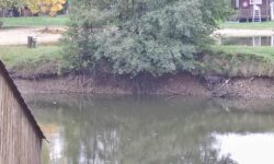 NOUVELLE WEBCAM CRUE DANS LE CENTRE – VAL DE LOIRE