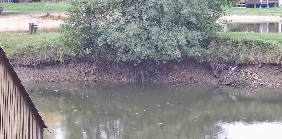 NOUVELLE WEBCAM CRUE DANS LE CENTRE – VAL DE LOIRE