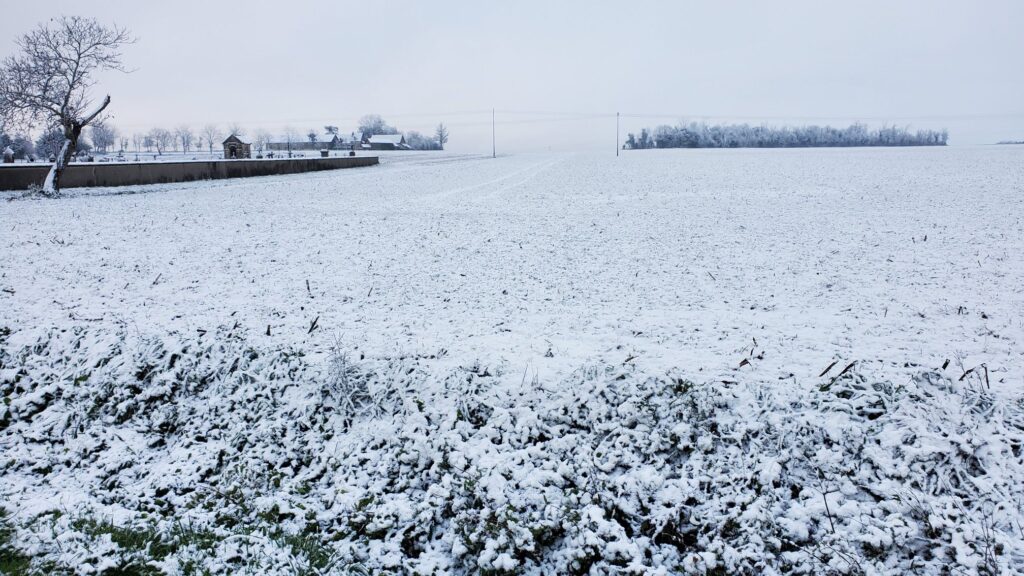 Neige à Nérondes (18) le 21 novembre 2025