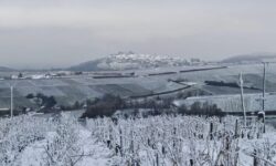 [BILAN DU 20 NOVEMBRE] – GELEES ET CHUTE DE NEIGE DANS LE CENTRE – VAL DE LOIRE