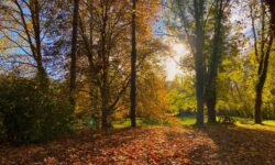 FRAICHEUR ET AMPLITUDES THERMIQUES – CENTRE VAL DE LOIRE