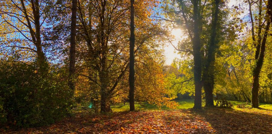FRAICHEUR ET AMPLITUDES THERMIQUES – CENTRE VAL DE LOIRE