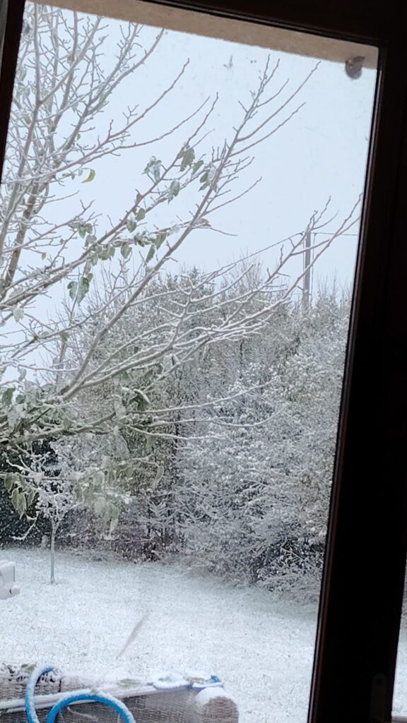 Neige à Gron (18) le 21 novembre 2025