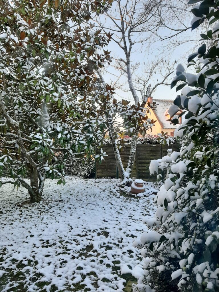 Neige en Sologne (Loiret - 45) le jour de Noel 2025 (25/12/2025)