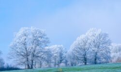 MÉTÉO WEEK-END 3 ET 4 JANVIER 2026 : BIEN FROID !
