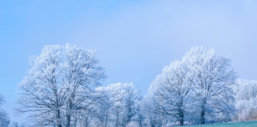 MÉTÉO WEEK-END 3 ET 4 JANVIER 2026 : BIEN FROID !