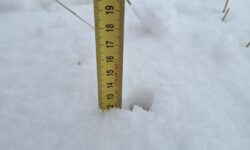 [BILAN DU 7 JANVIER] – NOUVELLES CHUTES DE NEIGE SUR LE CENTRE – VAL DE LOIRE