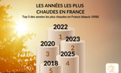 2025 : 4ÈME ANNÉE LA PLUS CHAUDE JAMAIS ENREGISTRÉE EN FRANCE, 3ÈME DANS LE MONDE, 5ÈME DANS LE CENTRE !