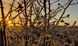 [BILAN DU 3 JANVIER] – GELEES, NEIGE ET VERGLAS SUR LE CENTRE – VAL DE LOIRE