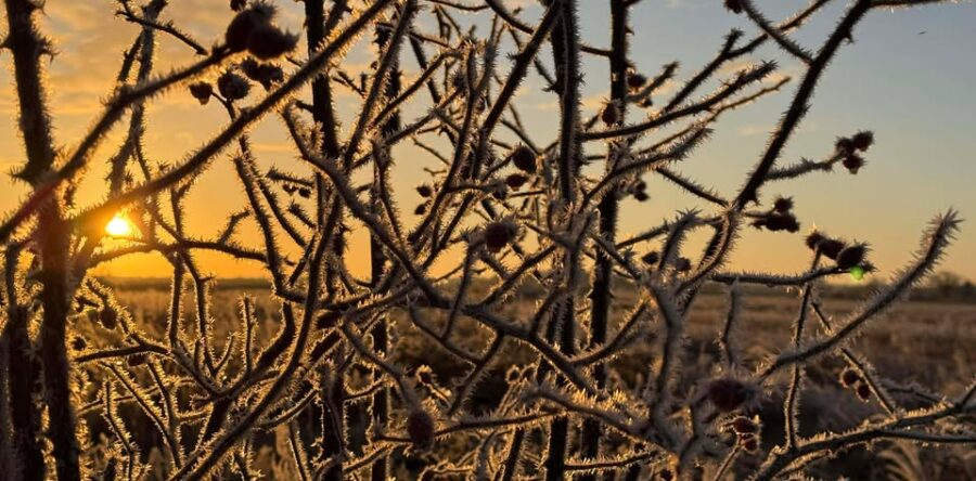 [BILAN DU 3 JANVIER] – GELEES, NEIGE ET VERGLAS SUR LE CENTRE – VAL DE LOIRE