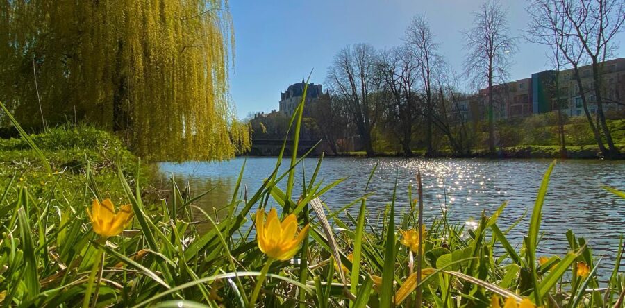 MÉTÉO 23 FÉVRIER AU 1ER MARS 2026 : DOUCEUR PRINTANIÈRE ANORMALE ?