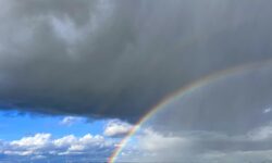 MÉTÉO 16 AU 22 FÉVRIER 2026 : PERTURBÉE AVANT AMÉLIORATION ?