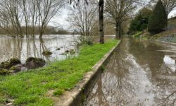 [Suivi] – Pedro et bilan des cumuls de pluie au 19 février  – région Centre – Val de Loire