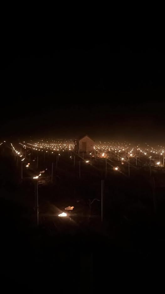 [BILAN] – Gelées du 27 mars 2026 – Centre – Val de Loire