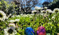 MÉTÉO 6 AU 12 AVRIL 2026 : VERS LE PREMIER PIC DE CHALEUR DE L’ANNÉE ?