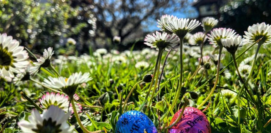 MÉTÉO 6 AU 12 AVRIL 2026 : VERS LE PREMIER PIC DE CHALEUR DE L’ANNÉE ?