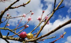 MÉTÉO WEEK-END 4 ET 5 AVRIL 2026 : CHANGEANT POUR PÂQUES ?