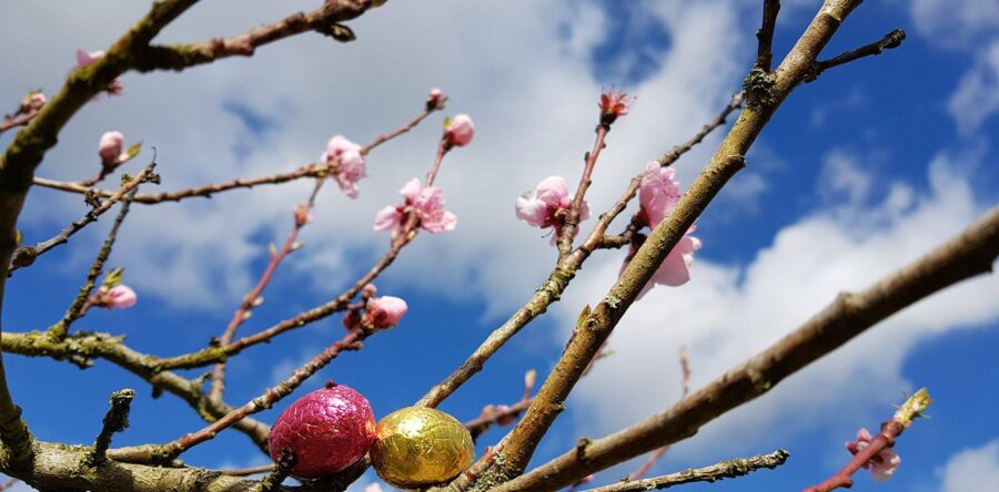 MÉTÉO WEEK-END 4 ET 5 AVRIL 2026 : CHANGEANT POUR PÂQUES ?