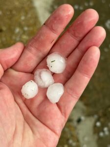 Grêlons du 9 avril 2026 au Mesnil-Thomas (28)