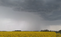 MÉTÉO WEEK-END 11 ET 12 AVRIL 2026 : RISQUE DE PLUIES CHARGÉES DE SABLE SAMEDI ?
