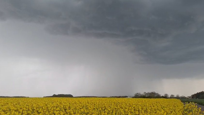 MÉTÉO WEEK-END 11 ET 12 AVRIL 2026 : RISQUE DE PLUIES CHARGÉES DE SABLE SAMEDI ?