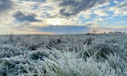 [BILAN DU 27 NOVEMBRE] – DES GELEES QUASI GENERALISEES DANS LE CENTRE – VAL DE LOIRE