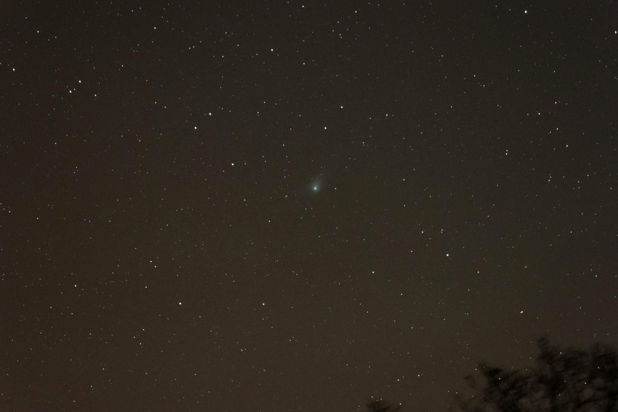 La comète C/2022 E3 (ZTF) observée dans le Nord du Loir-et-Cher, dans la nuit du 21 au 22 janvier 2023 (copyright : P. Scohy photos).