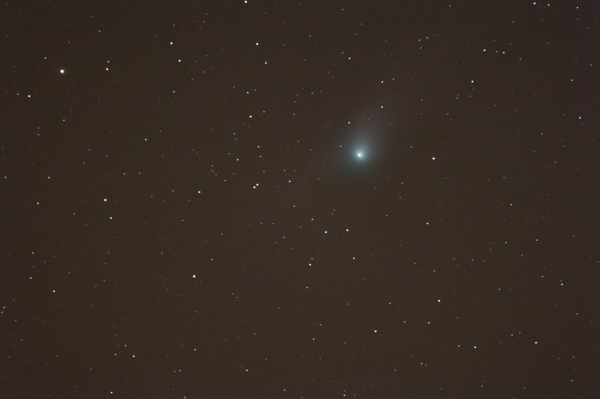 La comète C/2022 E3 (ZTF) observée dans le Nord du Loir-et-Cher, dans la nuit du 21 au 22 janvier 2023 (copyright : P. Scohy photos).