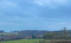 MÉTÉO CENTRE – VAL DE LOIRE DU 23 AU 29 DÉCEMBRE 2024