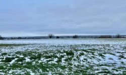 MÉTÉO CENTRE – VAL DE LOIRE DU WEEK-END DU 15 ET 16 MARS 2025