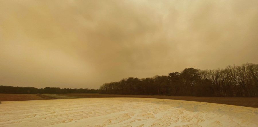 PLUIES CHARGÉES DE SABLE DÈS CE MERCREDI 22 FÉVRIER 2023 !
