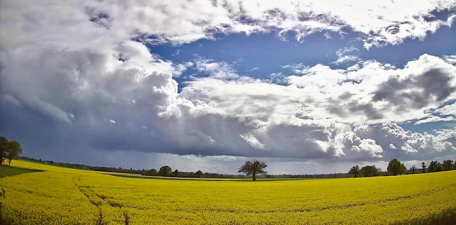 MÉTÉO CENTRE – VAL DE LOIRE DU 24 AU 30 AVRIL 2023