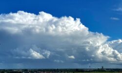 MÉTÉO CENTRE – VAL DE LOIRE DU 27 JANVIER AU 2 FÉVRIER 2025